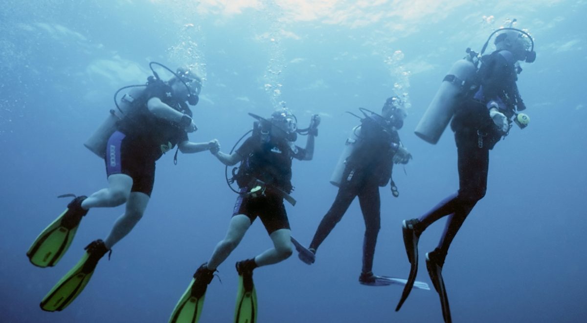 group of divers ascending from dive in utila, bay islands, honduras - underwater skin divers