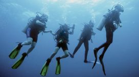 group of divers ascending from dive in utila, bay islands, honduras - underwater skin divers